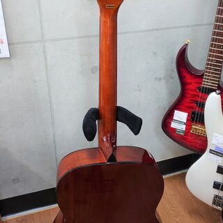 Stafford SF200F-N】アコースティックギター販売中！