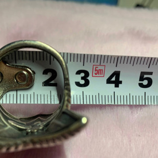 売却済 コディーサンダーソン1