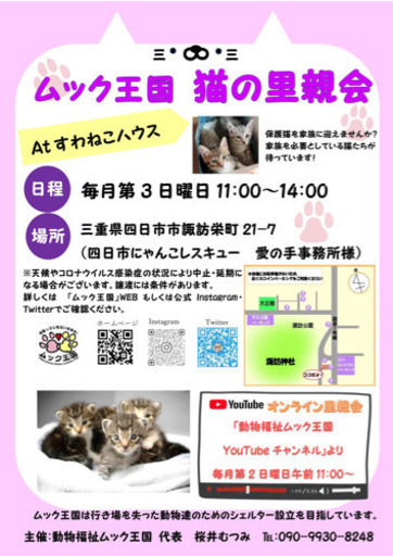 温厚でスリゴロなキジシロハチワレのそらくん 里親募集です 動物福祉ムック王国 鈴鹿の猫の里親募集 ジモティー