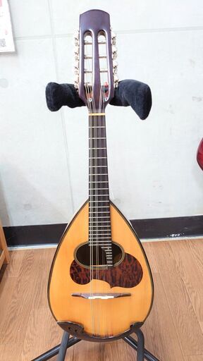【SUZUKI M-30】マンドリン販売中！