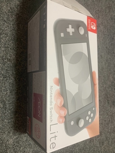 その他 Nintendo switch Lite gray