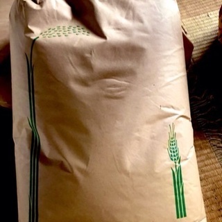 厚木市産のお米30キロ