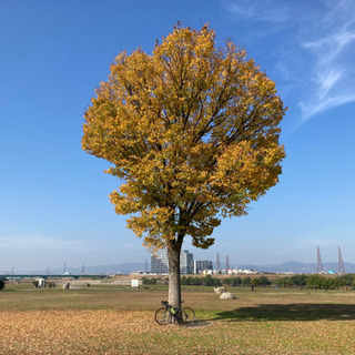 (ロードバイク)休日の早朝に走りませんか？