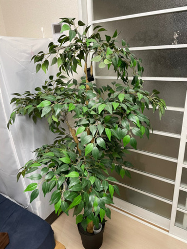 IKEA植物(人工) 受け取り決まりました。