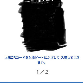 【ネット決済・配送可】USJ ユニバ 12/24 1デイ 大人2...