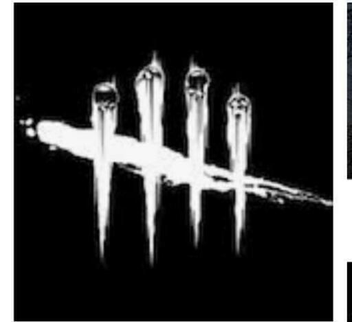 デットバイデイライト Dbd ちこり 桜上水のゲーム アプリのメンバー募集 無料掲載の掲示板 ジモティー