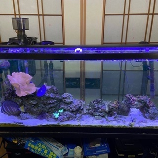 120cm水槽、ワイヤーラック、ガラス蓋セット