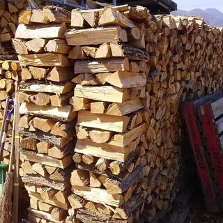 1年乾燥薪②（広葉樹）