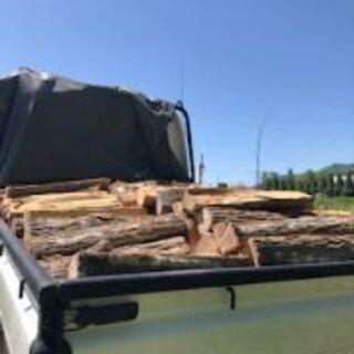 1年乾燥薪②（広葉樹）