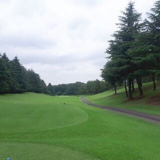 大田区近隣在住のゴルファーさん募集