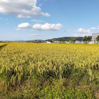 （地産地消）来年のことなんですが、