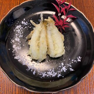 年越しそば用　美味な天ぷらだねゲットだぜっ！　美味ハゼの釣り体験...