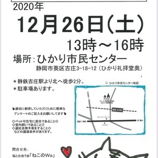 猫の譲渡会　静岡市葵区