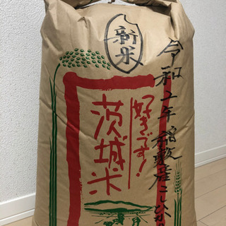 お米売ります❗️稲敷産コシヒカリ10キロ❗️