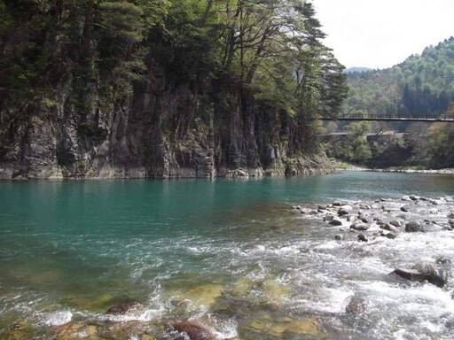 生き物 自然を愛する人の集い 仮 ボン蔵 大阪難波のその他のメンバー募集 無料掲載の掲示板 ジモティー