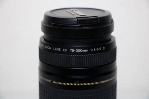 Canon EF 75-300mm F4-5.6 Ⅱ