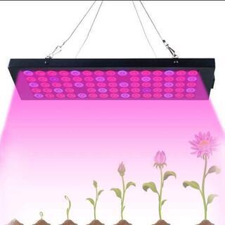 【ネット決済】新品未使用品 植物育成ライト　LED 植物ライト　...