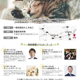 【千葉市開催】12月20日（日）保護猫譲渡会　同時開催イベントあり