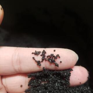 コリドラス エビ用砂 ナノグラベル スラウェシブラック 熱帯魚 アクアリウム とっと 北府中のその他の中古あげます 譲ります ジモティーで不用品の処分 コリドラス エビ用砂 ナノグラベル スラウェシブラック 熱帯魚 アクアリウム とっと 北府中のその他の中古あげます 譲ります ジモティーで不用品の処分