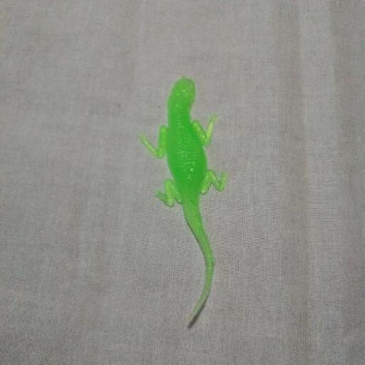 緑色のおもちゃのトカゲ 豆苗 北山形のおもちゃの中古あげます 譲ります ジモティーで不用品の処分