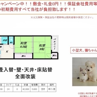 ☆初期費用前家賃47,000円のみ☆ペット飼育可☆ほぼフルリフォーム☆大阪市港区2K☆の画像