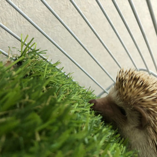 終了しました − 沖縄県