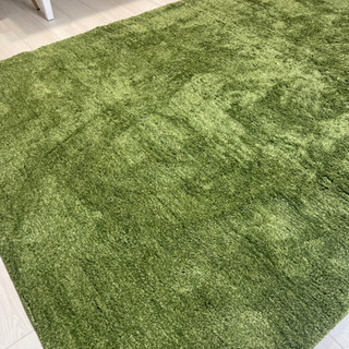 【ネット決済】緑　絨毯