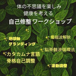 《体の不思議を楽しみ健康を考える》自己修整ワークショップ