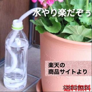 植物の自動給水アイテム“水やり楽だぞぅ” 18本