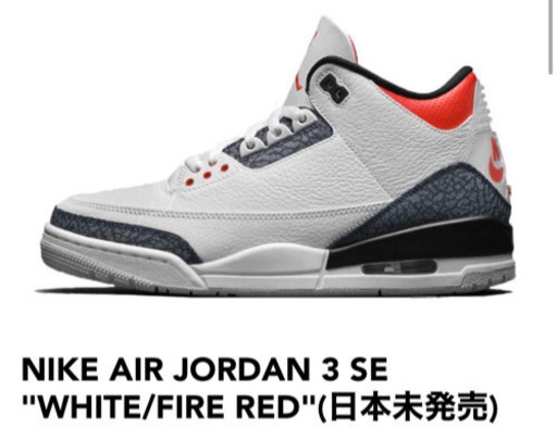 Nike Air Jordan 3 (日本未発売)　29cm