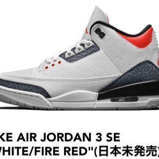 Nike Air Jordan 3 (日本未発売)　29cm