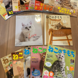 お取引中☆猫カフェ無料券付☆15冊 (最新号含む)ねこのきもち