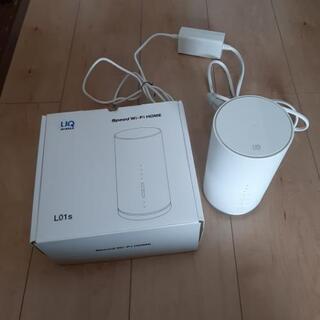 WiMAX L01s