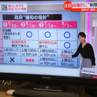 【ジャンク】三菱テレビ 38インチ