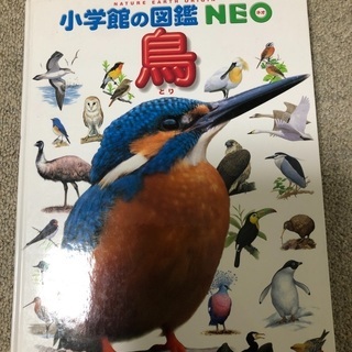 小学館の図鑑NEO 鳥　恐竜