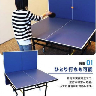 会社使用品】卓球台（国際規格サイズ） | clinicaversalles.com.pe