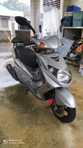 台湾シグナス？