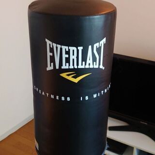 【ネット決済】EVERLAST Power Core ボクシング...