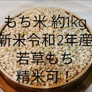 もち米 1kg 若草もち 新米 令和2年産 玄米 精米可