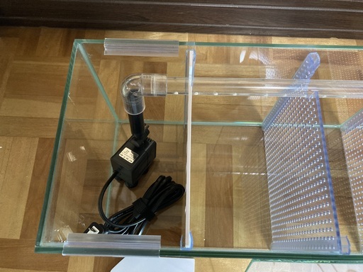 開店祝い ベタマンション 送料込み 魚用品 水草 Insitumarineoptics Com