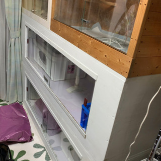 爬虫類　ケージ色々