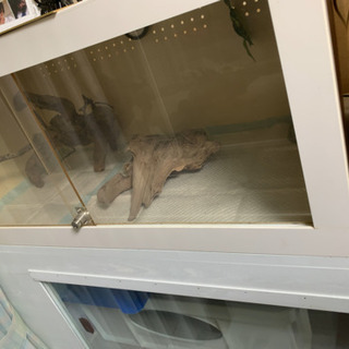 爬虫類　ケージ色々