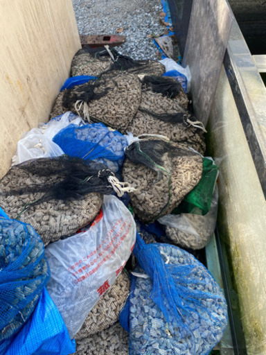 サンゴろ材海水魚に使用たくさんあります カトゥ 高塚のその他の中古あげます 譲ります ジモティーで不用品の処分