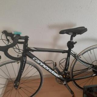 キャノンデール最終値下げ