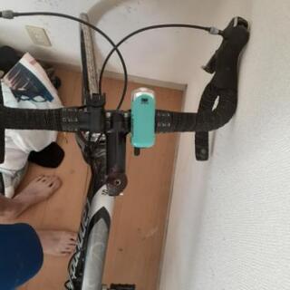 キャノンデール最終値下げ