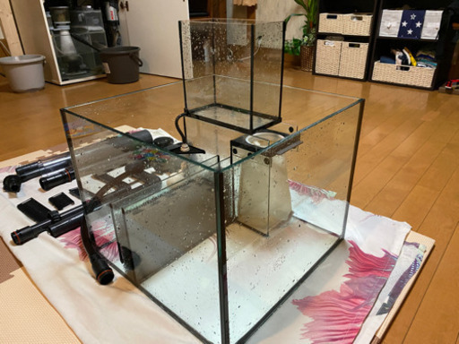 Red sea reefer 170 オーバーフロー水槽セット サンゴ 【公式通販】