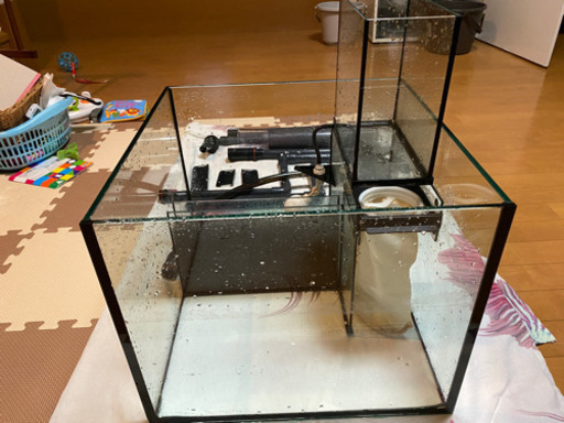 Red sea reefer 170 オーバーフロー水槽セット サンゴ Red sea reefer 170 オーバーフロー水槽セット サンゴ 【公式通販】