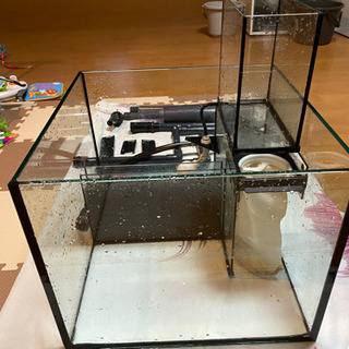 Red sea reefer 170 オーバーフロー水槽セット サンゴ 【公式通販】