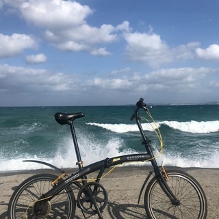 折りたたみ自転車 WACHSEN 超軽アルミフレーム折りたたみ