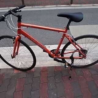 🚴ルイガノ シャッセ